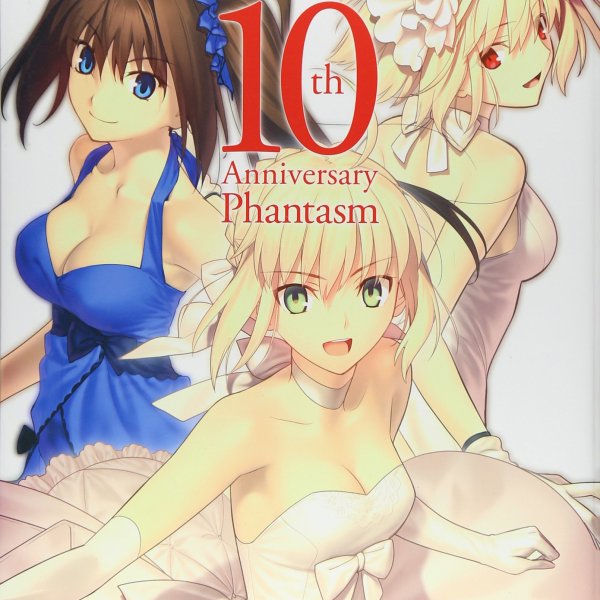 TYPE-MOON 型月 FATE 10周年纪念 绘画册 10th Anniversary Phantasm